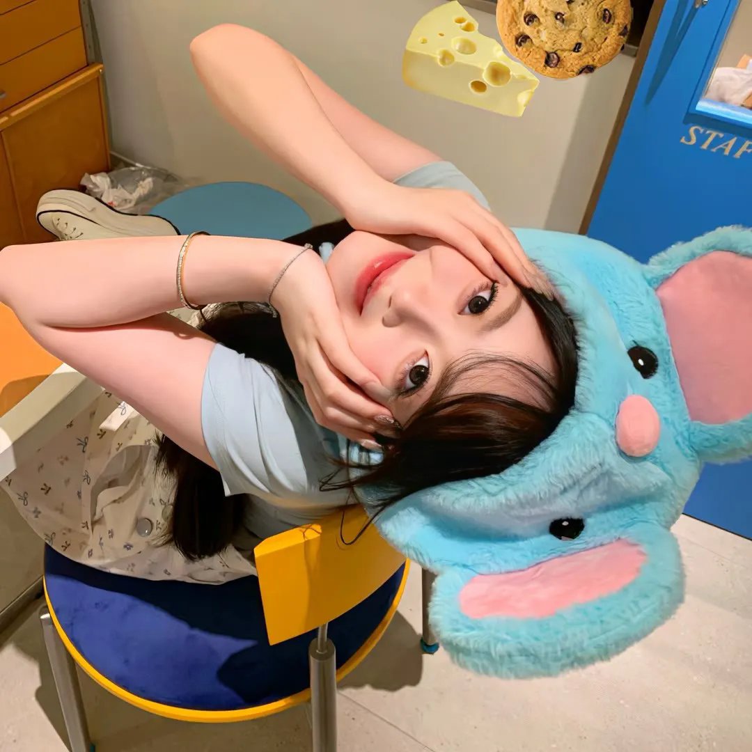 二呆流浪记之完全大人手册